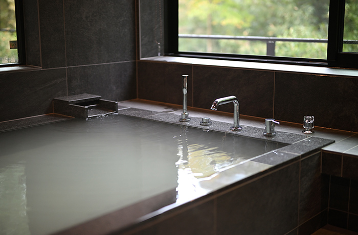 肌に優しい強酸性の湯(pH2.0)